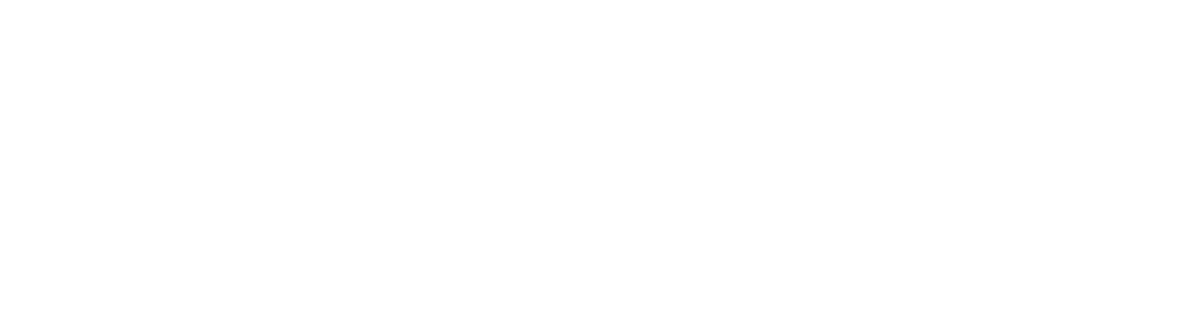Blog Holding